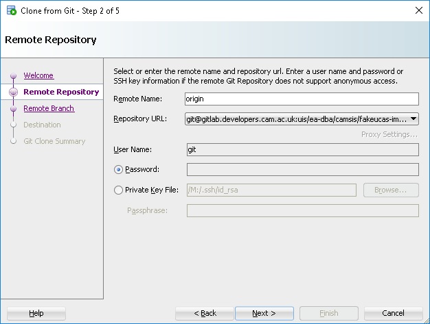 Git clone remote repository