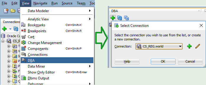 Add DBA functions to SQL Developer